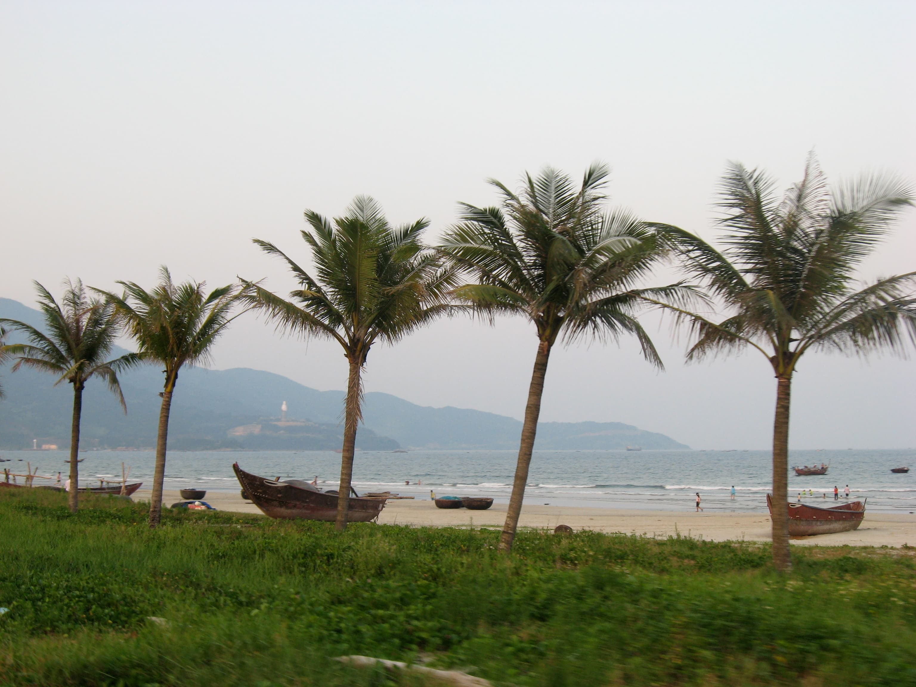 Palm trees lining a quiet stretch of Da Nang beach with fishing boats near the shore