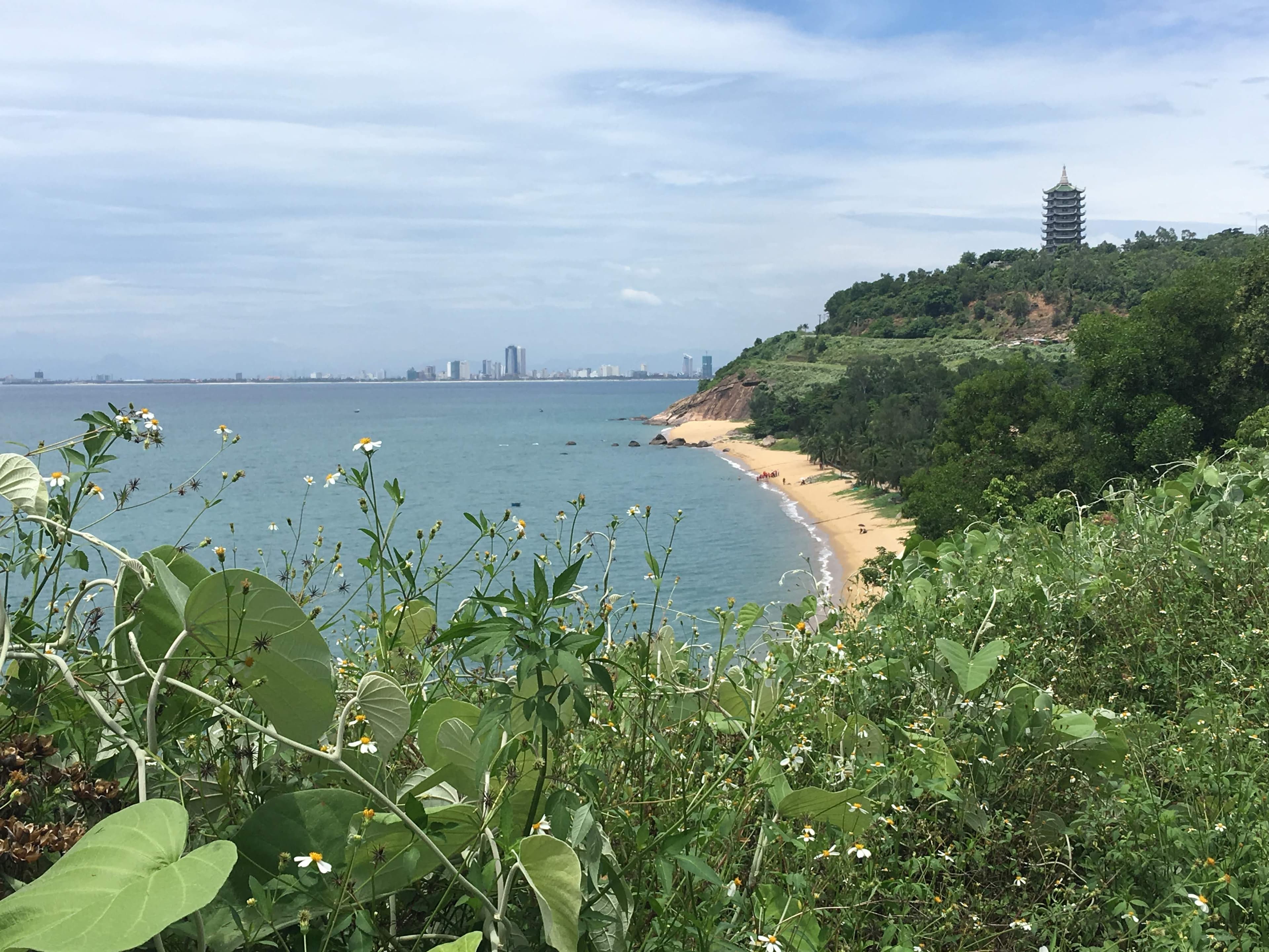 Da Nang city with the green Son Tra peninsula rising behind it